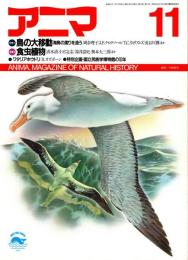 アニマ No.182 1987年11月号　鳥の大移動-海鳥の渡りを追う