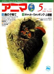 アニマ No.188 1988年5月号　鳥の子育て