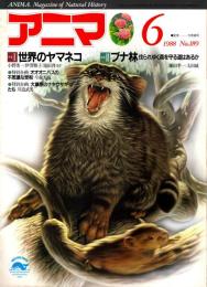 アニマ No.189 1988年6月号　世界のヤマネコ