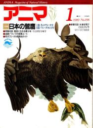 アニマ No.196 1989年1月号　日本の鷲鷹
