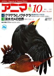 アニマ No.205 1989年10月号　クマゲラとノグチゲラ‐原生林のキツツキたち