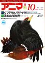 アニマ No.205 1989年10月号　クマゲラとノグチゲラ‐原生林のキツツキたち