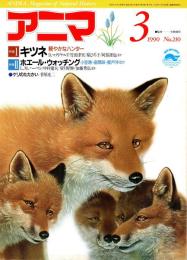 アニマ No.210 1990年3月号　キツネ‐軽やかなハンター