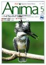 アニマ No.212 1990年5月号　バード・ウォッチング上級編-野外鳥類学のすすめ