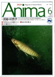 アニマ No.213 1990年6月号　渓流の自然学