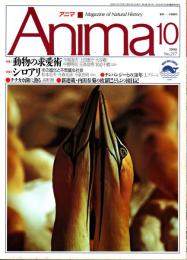 アニマ No.217 1990年10月号　動物の求愛術