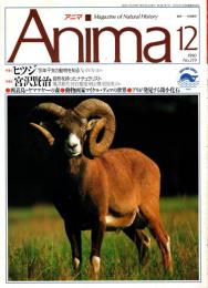 アニマ No.219 1990年12月号　ヒツジ-干支の動物を知る