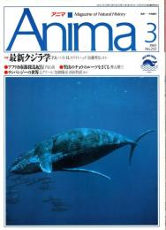 アニマ No.222 1991年3月号　最新クジラ学