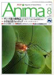 アニマ No.227 1991年8月号　サンゴ礁の動物誌