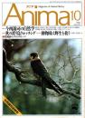 アニマ No.241 1992年10月号　今西錦司追悼号/今西錦司の自然学
