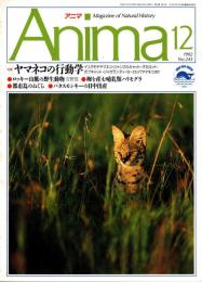 アニマ No.243 1992年12月号　ヤマネコの行動学