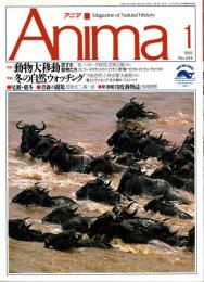 アニマ No.244 1993年1月号　動物大移動-旅する動物たち