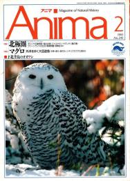 アニマ No.245 1993年2月号　北極圏　マグロ
