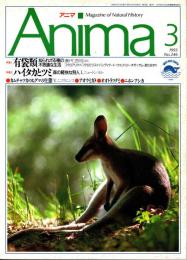 アニマ No.246 1993年3月号　有袋類-知られざる種の不思議な生活