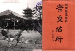 奈良名所　特製最近撮影　絵葉書16枚