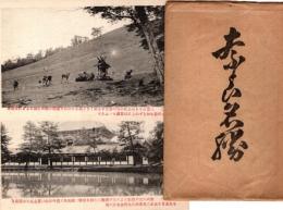 奈良名勝　絵葉書8枚