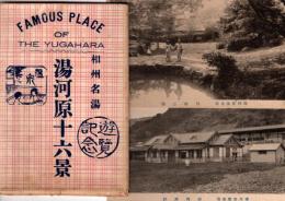 湯河原十六景 相州名湯　絵葉書16枚　FAMOUS PLACE OF THE YUGAHARA