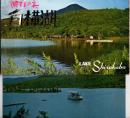 白樺湖　湖畔の美　大判絵葉書6枚