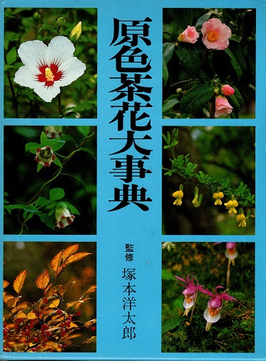 原色茶花大事典(塚本洋太郎監修 ; 庵原遜/鈴木基夫/立花吉茂/津田秀樹