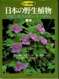 日本の野生植物 : 草本　フィールド版 