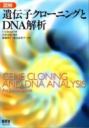 図解遺伝子クローニングとDNA解析