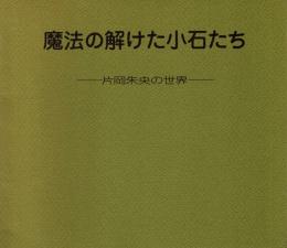 魔法の解けた小石たち　片岡朱央の世界