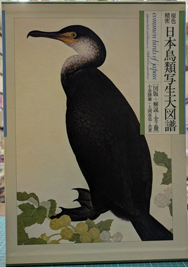 原色精密日本鳥類写生大図譜 [図版本+解説本+付録] (小泉勝爾 , 土岡春