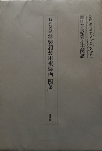 原色精密日本鳥類写生大図譜 [図版本+解説本+付録] (小泉勝爾 , 土岡春