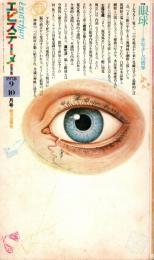エピステーメー 1978年10月号　眼球・まなざしの哲学