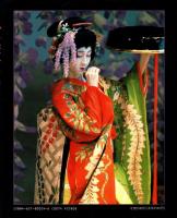 歌舞伎 : 伝統の美　　昇華された芸の世界