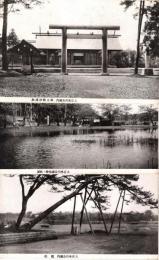 大宮氷川公園　絵葉書3枚