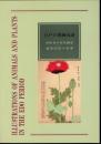 特別展　江戸の博物図譜　世田谷の本草画家斎田雲岱の世界