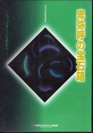 特別展　卑弥呼の宝石箱－ちょっとオシャレな弥生人