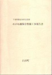 千葉県指定有形文化財　めがね橋保存整備工事報告書