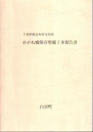 千葉県指定有形文化財　めがね橋保存整備工事報告書