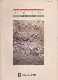 たばこと塩の博物館研究紀要第2号　紅毛文化－日蘭貿易とその影響