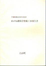 千葉県指定有形文化財　めがね橋保存整備工事報告書