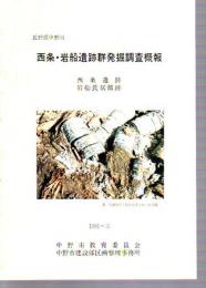 長野県中野市　西条・岩船遺跡群発掘調査概報　西条遺跡・岩船氏居館跡