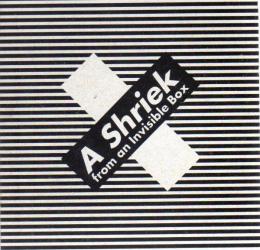 A Shriek an Invisible Box－見えない箱からの鋭い叫び展