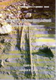 山梨県埋蔵文化財センター調査報告書　第228集　国指定史跡　銚子塚古墳附丸山塚古墳－史跡整備事業に伴う平成16年度発掘調査概要報告書