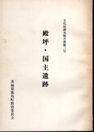 文化財調査報告書第3号　殿坪・国主遺跡