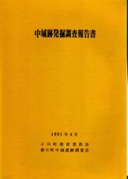 中城跡発掘調査報告書