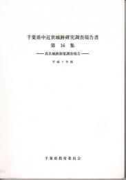 千葉県中近世城跡研究調査報告書　第16集　真名城跡測量調査報告