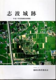 志波城跡－平成5年度発掘調査概報