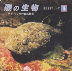 郷土学習シリーズ第16集　磯の生物　チャシコツ崎の自然観察