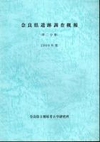 奈良県遺跡調査概報　2009年度（全3冊）