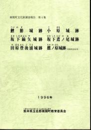 南関町文化財調査報告第4集　鯉鮓城跡　小原城跡　坂下鏑矢城跡　坂下鳶ノ尾城跡　田原豊後浦城跡　鷹ノ原城跡