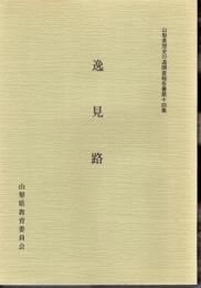 山梨県歴史の道調査報告書第十四集　逸見路