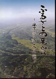 ふるさとの至宝　安中市の文化財