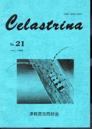 Celastrina No.21